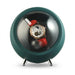 USB Motor Watch Winder Box for Automatic Watches — Rotating Display