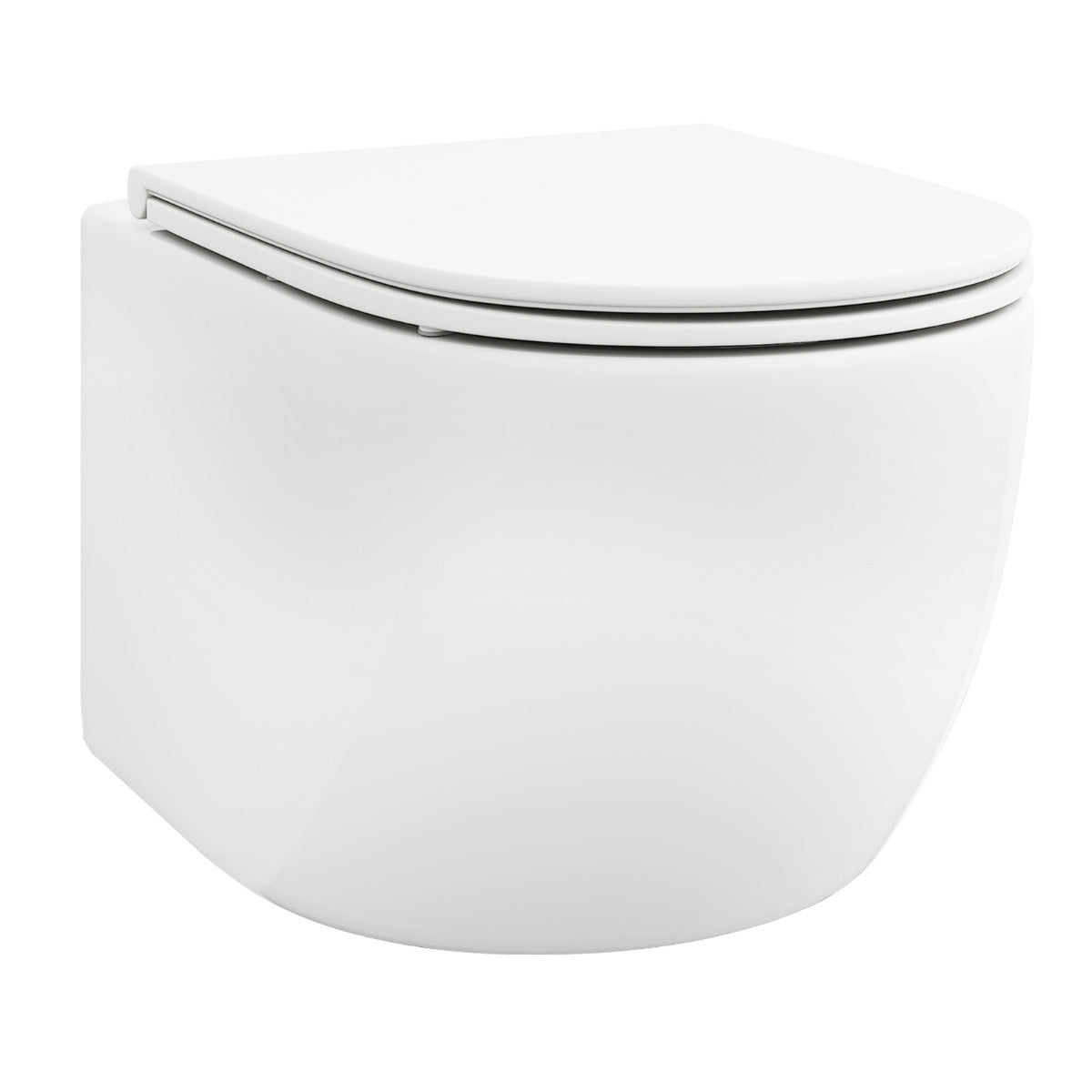 Toilet & Bidet Accessories