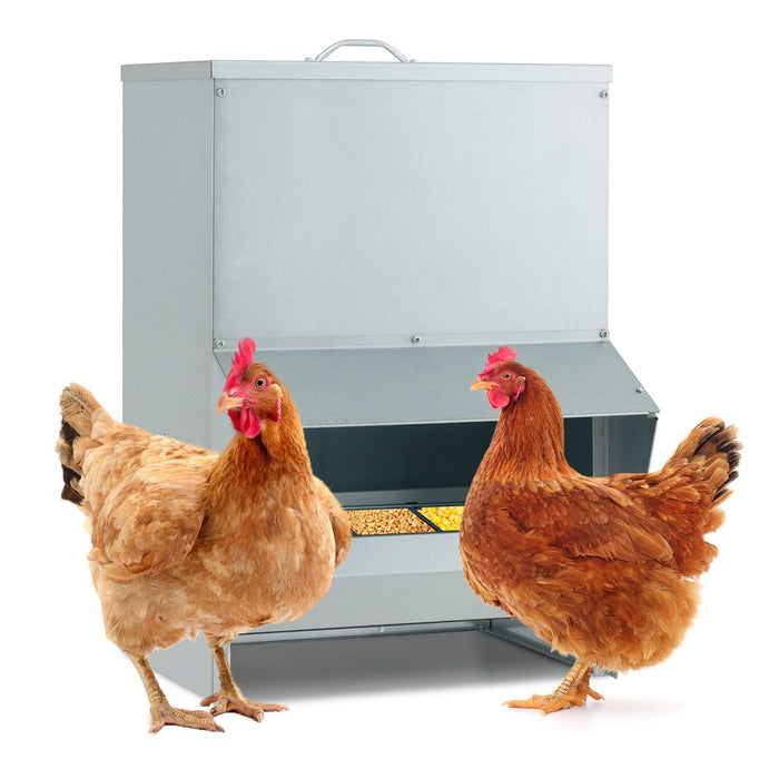 22KG Capacity Wall Mount Galvanized Chicken Feeder with Lid-