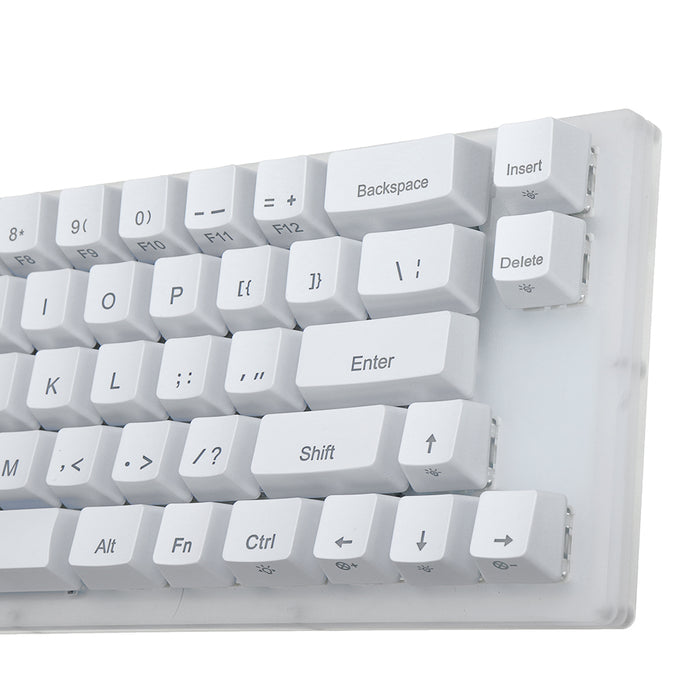 GamaKay K66 - 66-Key Mechanical Gaming Keyboard with Gateron Switches, Hot Swappable Type-C Wired, and RGB Backlit - Perfect for PC Laptop with Crystalline Base