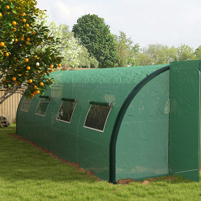 Upgraded Polyethylene Polytunnel - 6x3m Walk-in Greenhouse with Enhanced Structure - Ideal for Garden Plant Protection and Growth