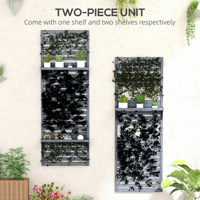 Fir Wood Plant Display Racks - Set of 2 Wall-Mounted Stands with Shelves & Slatted Trellis - Ideal for Patio, Balcony, Porch Greenery Showcase