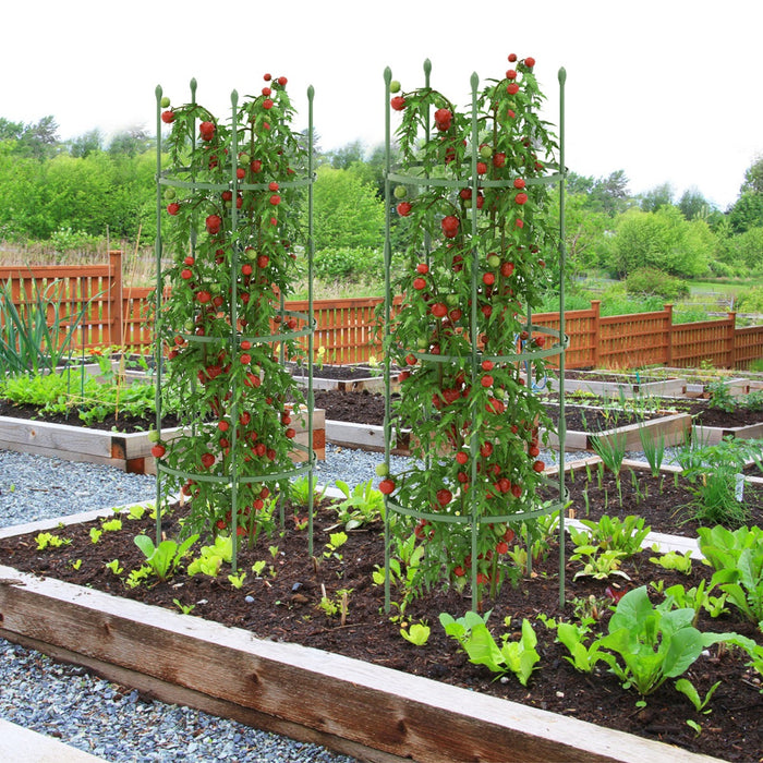 Garden Trellis 3-Pack - Ideal for Climbing Vines, Flowers, Potted Plants, Vegetables and Fruits - Perfect Gardening Solution for Plant Lovers