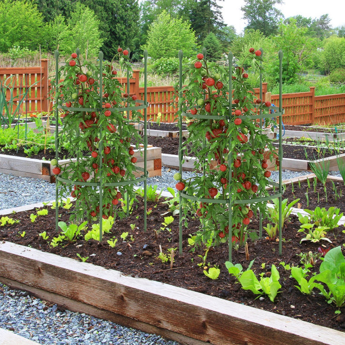 Garden Trellis 3-Pack - Ideal for Climbing Vines, Flowers, Potted Plants, Vegetables and Fruits - Perfect Gardening Solution for Plant Lovers