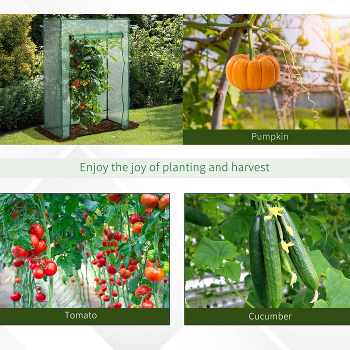 Greenhouse with Sturdy Steel Frame - Spacious 100x50x150cm PE Cover, Roll-up Door for Easy Access - Ideal for Backyard, Balcony and Garden Greening