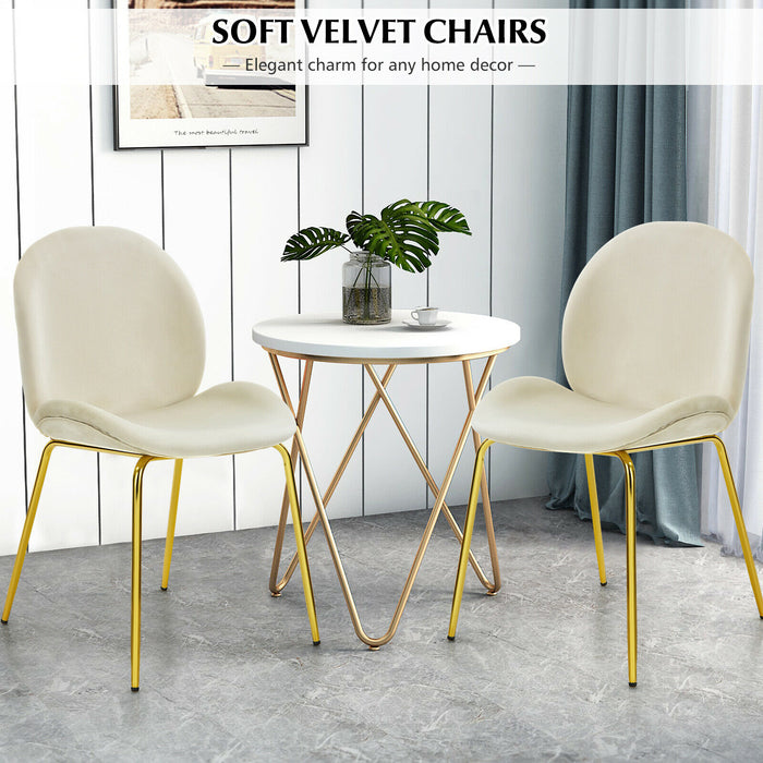 Velvet Dining Chair Set - Beige Chairs with Golden Steel Finished Legs - Ideal for Elegant Dining Spaces