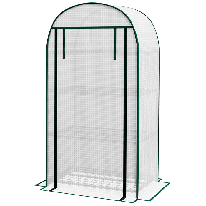 Mini Greenhouse with Storage Shelves - Durable Metal Frame & Roll-Up Zippered Door, 80x49x160 cm, PE Cover - Ideal for Outdoor Gardening and Plant Protection