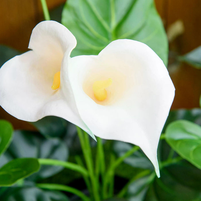Artificial Calla Lily Flowers - Set of 2 Realistic Faux Plants in Nursery Pots, 55cm - Perfect for Indoor & Outdoor Home Decor