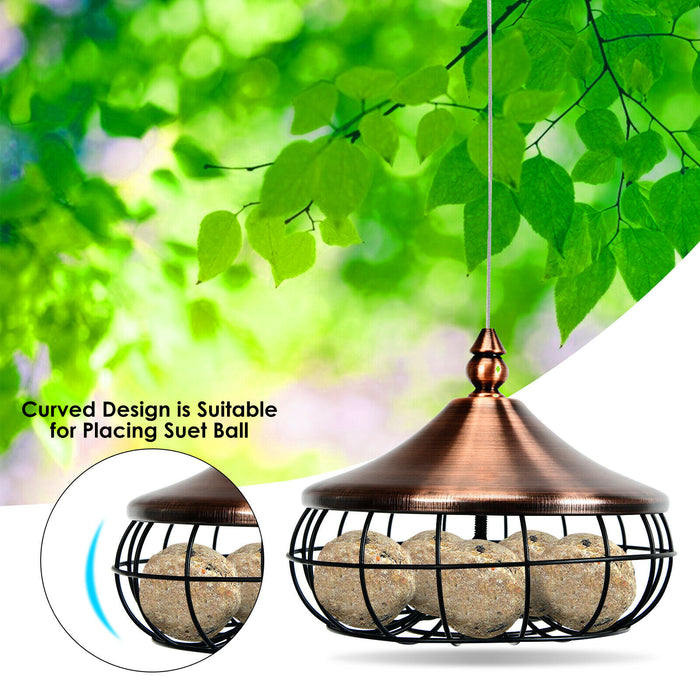 BirdFeed's Suet Ball Feeder - Hanging Design, Perfect for Fat Balls - Ideal For Attracting Wild Birds in Your Garden