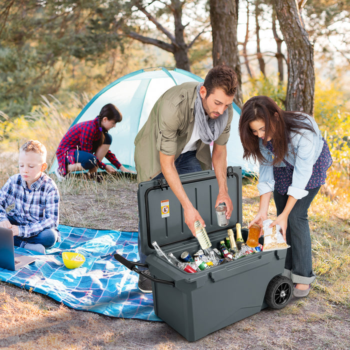 Portable 71L Cooler - With Easy-to-Move Handles and Wheels - Ideal for Outdoors, Trips and Picnics