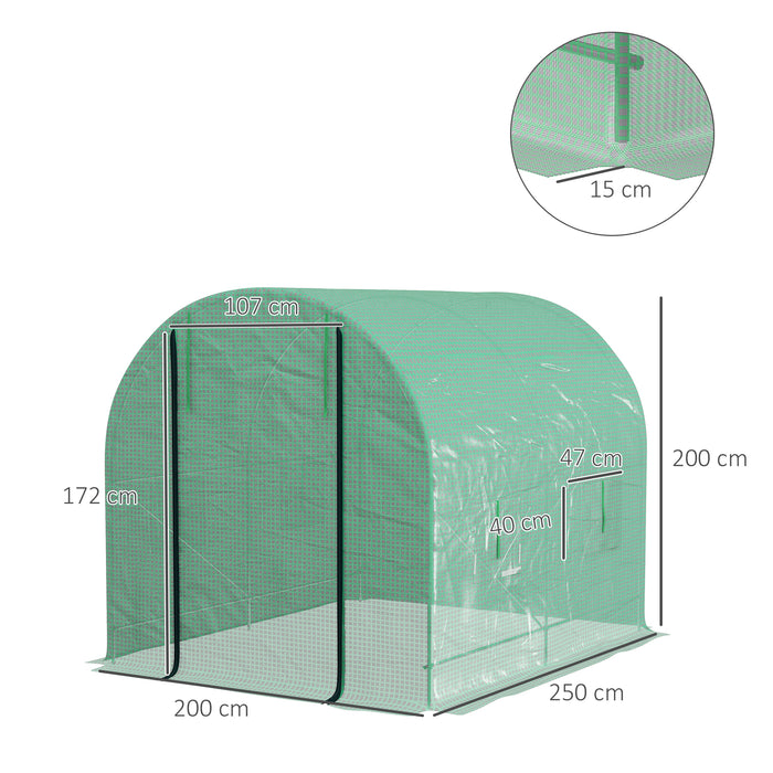 Polytunnel Walk-In Greenhouse 2.5x2m - Steel Frame, PE Cover with Roll-Up Door, 4 Ventilation Windows - Ideal for Garden Plant Growth & Season Extension