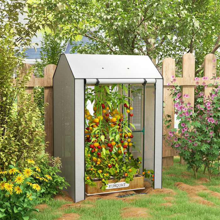 Portable 4-Tier Mini Greenhouse - Wire Shelves, Roll-Up Door, Vents, Tomato Plant Grow House - Ideal for Small Gardens, Balconies, 100x80x150cm