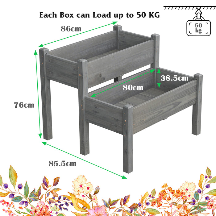 Fir Wooden Raised Bed - 2-Tier Garden Planter with Drain Holes, Grey - Ideal for Gardeners & Solving Water Logging Issues