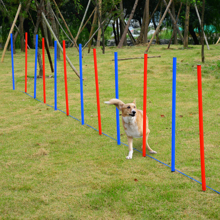 Pet Agility Exercise Equipment - Run and Jump Obstacle Course Kit for Dogs - Enhances Fitness and Obedience Training
