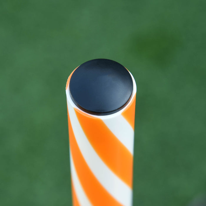 Dog Agility Training Set - 12 Weave Poles Slalom Obstacle Course Equipment for Outdoor and Indoor - Includes Durable Oxford Carry Bag for Easy Transport