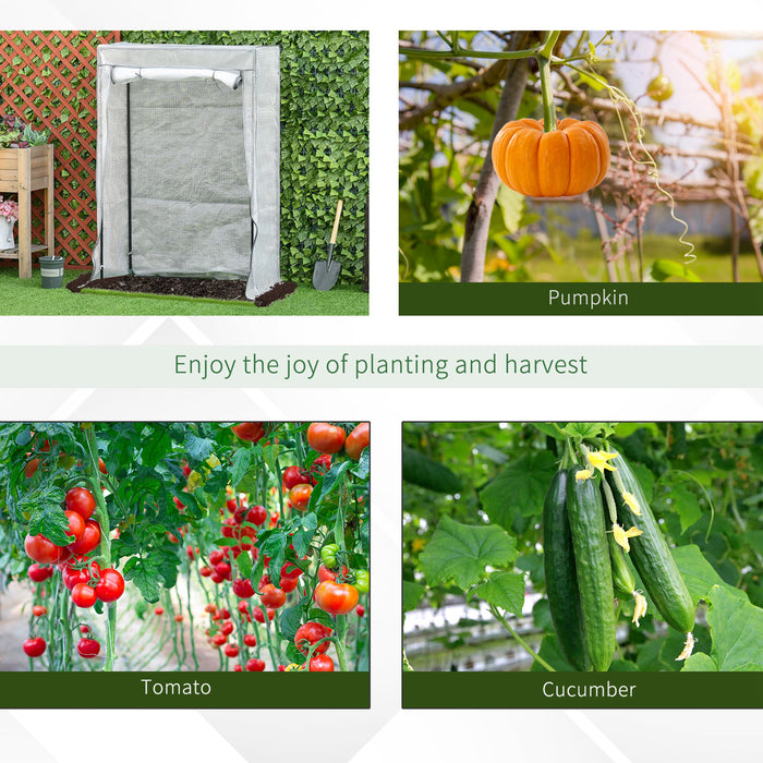 Greenhouse with Sturdy Steel Frame and PE Cover - 100x50x150cm with Roll-up Door for Effective Ventilation - Ideal for Backyard, Balcony, and Garden Growing Environments