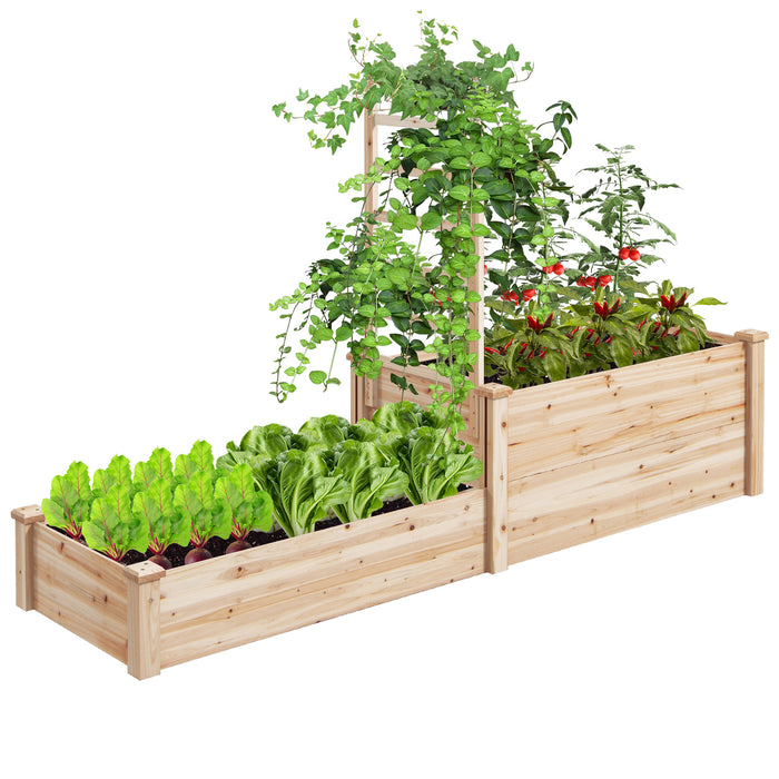 Raised Garden Bed with Trellis and 2 Compartments - Functional Outdoor Gardening Fixture with Segmented Design - Ideal for Green Thumbs and Urban Gardeners