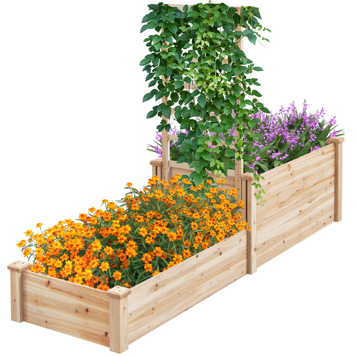 Raised Garden Bed with Trellis and 2 Compartments - Functional Outdoor Gardening Fixture with Segmented Design - Ideal for Green Thumbs and Urban Gardeners