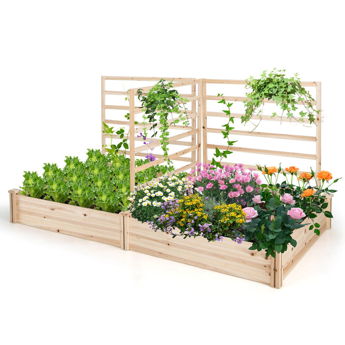 Elevated Garden Bed - With Trio Trellis Design and Dual Planting Boxes - Ideal for Outdoor Gardening Enthusiasts