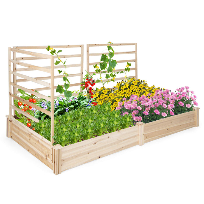 Elevated Garden Bed - With Trio Trellis Design and Dual Planting Boxes - Ideal for Outdoor Gardening Enthusiasts