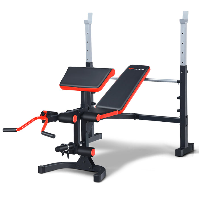 Adjustable Weight Bench - Full-Body Workout and Strength Training Equipment - Ideal Fitness Solution for Home Gym