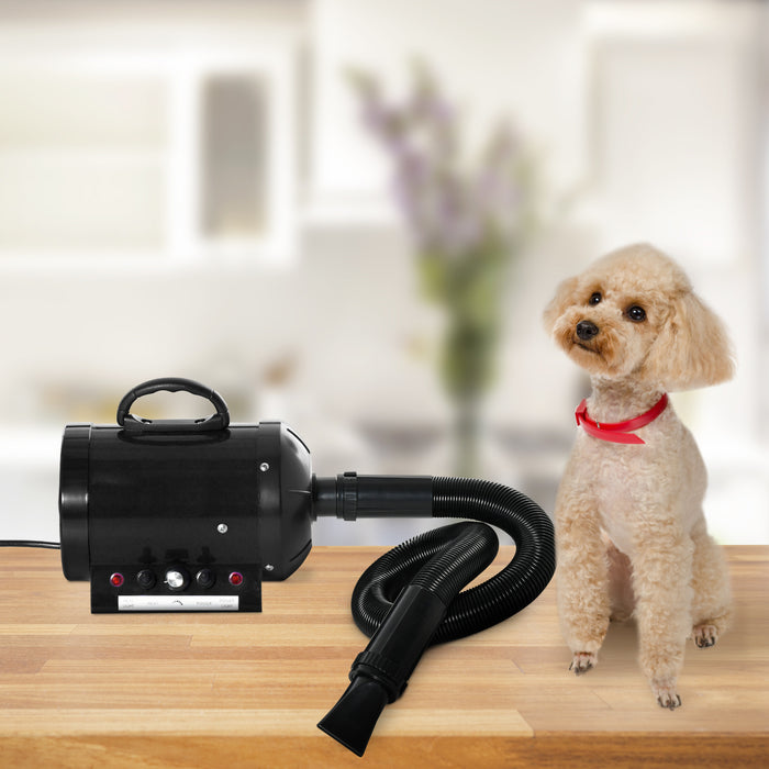 2800W Pet Hair Dryer with 3 Nozzles - High-Power Dog Grooming Blaster and Water Blower, Black - Ideal for Home or Professional Pet Care