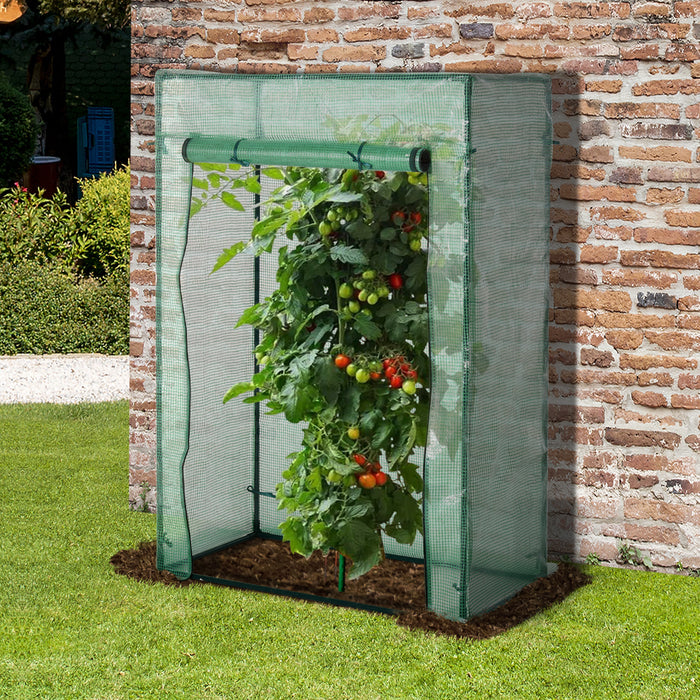 Greenhouse with Sturdy Steel Frame - Spacious 100x50x150cm PE Cover, Roll-up Door for Easy Access - Ideal for Backyard, Balcony and Garden Greening