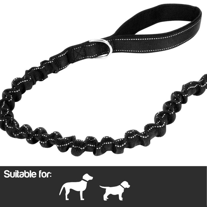 Durable Anti-Shock Dog Leash - Comfort Grip with Reflective Stitching - Ideal for Training & Safe Night Walks