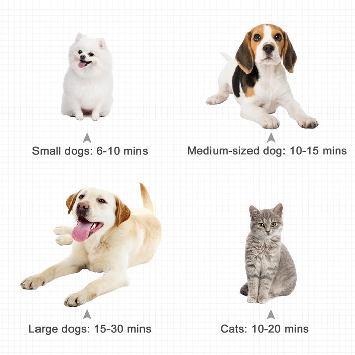 2800W Pet Hair Dryer with 3 Nozzles - High-Power Dog Grooming Blaster and Water Blower, Black - Ideal for Home or Professional Pet Care