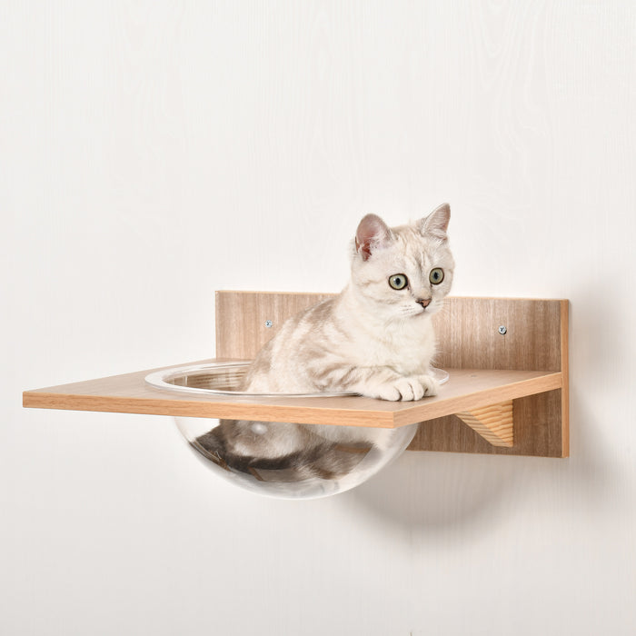 Cat Tree Climbing Shelf Combo - 4-Piece Wall-Mounted Kitten Activity Set with Hammock, Scratching Post, Jumping Platform - Space-Saving Perch for Cats