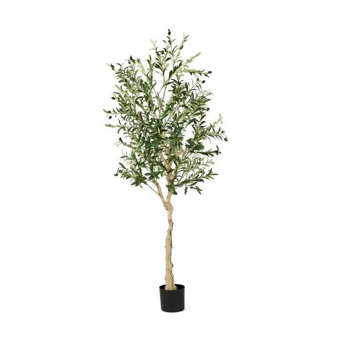 2 Piece 182cm Artificial Olive Tree Set - Lifelike Fake Olive Tree with 72 Fruits - Ideal For Home and Garden Decoration