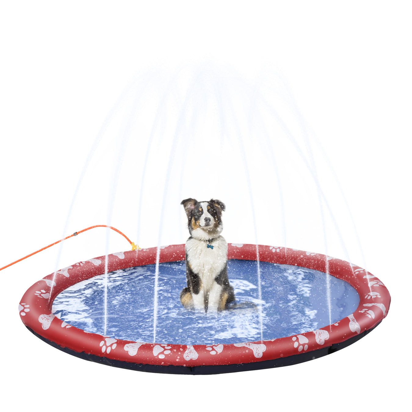 Sprinklers & Sprinkler Heads