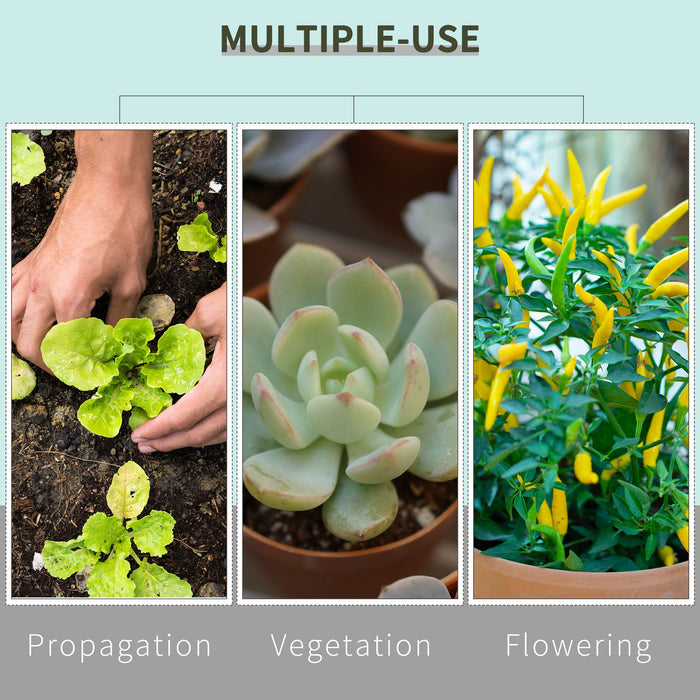 Hydroponic Grow Space - 80x80x160cm Plant Cultivation Tent Black/Green - Ideal for Indoor Gardening Enthusiasts