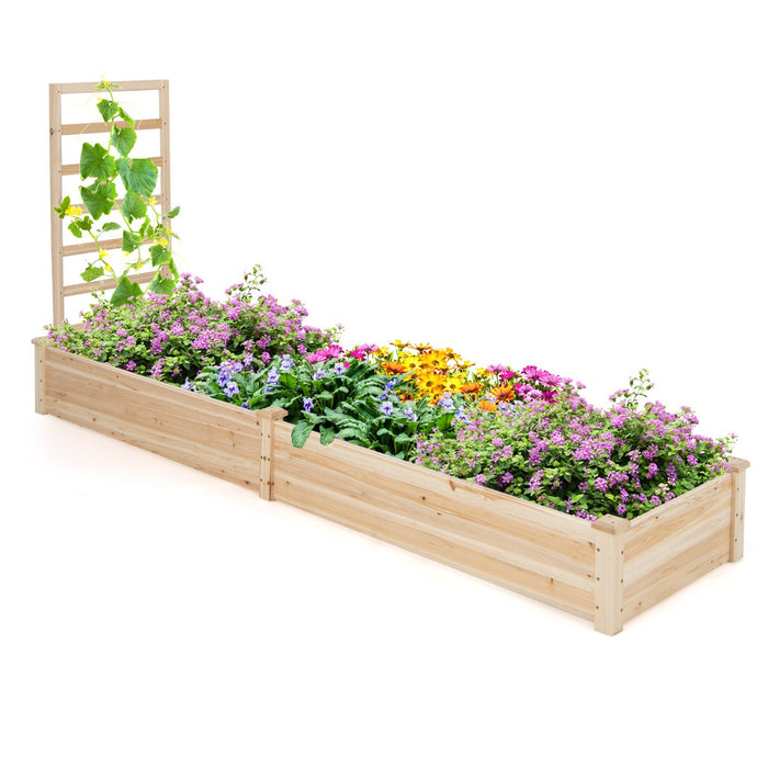 Garden Bed with Planter Box and Trellis - Raised Outdoor Gardening Station for Flowers and Veggies - Ideal for Patio Garden Enthusiast