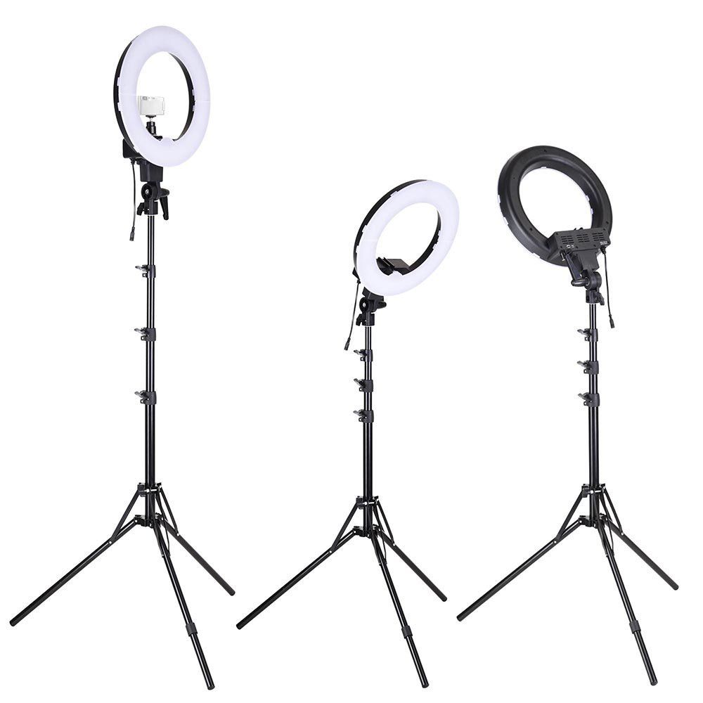 Studio Lights & Flashes