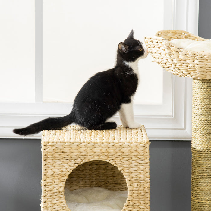 Kitten Tower Cattail Weave - Multi-Level Cat Tree with Scratching Posts, Comfy Bed, and Climbing Ladder - Ideal Playhouse for Indoor Cats with Washable Pads